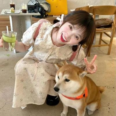 小狼居家守则 在线观看
